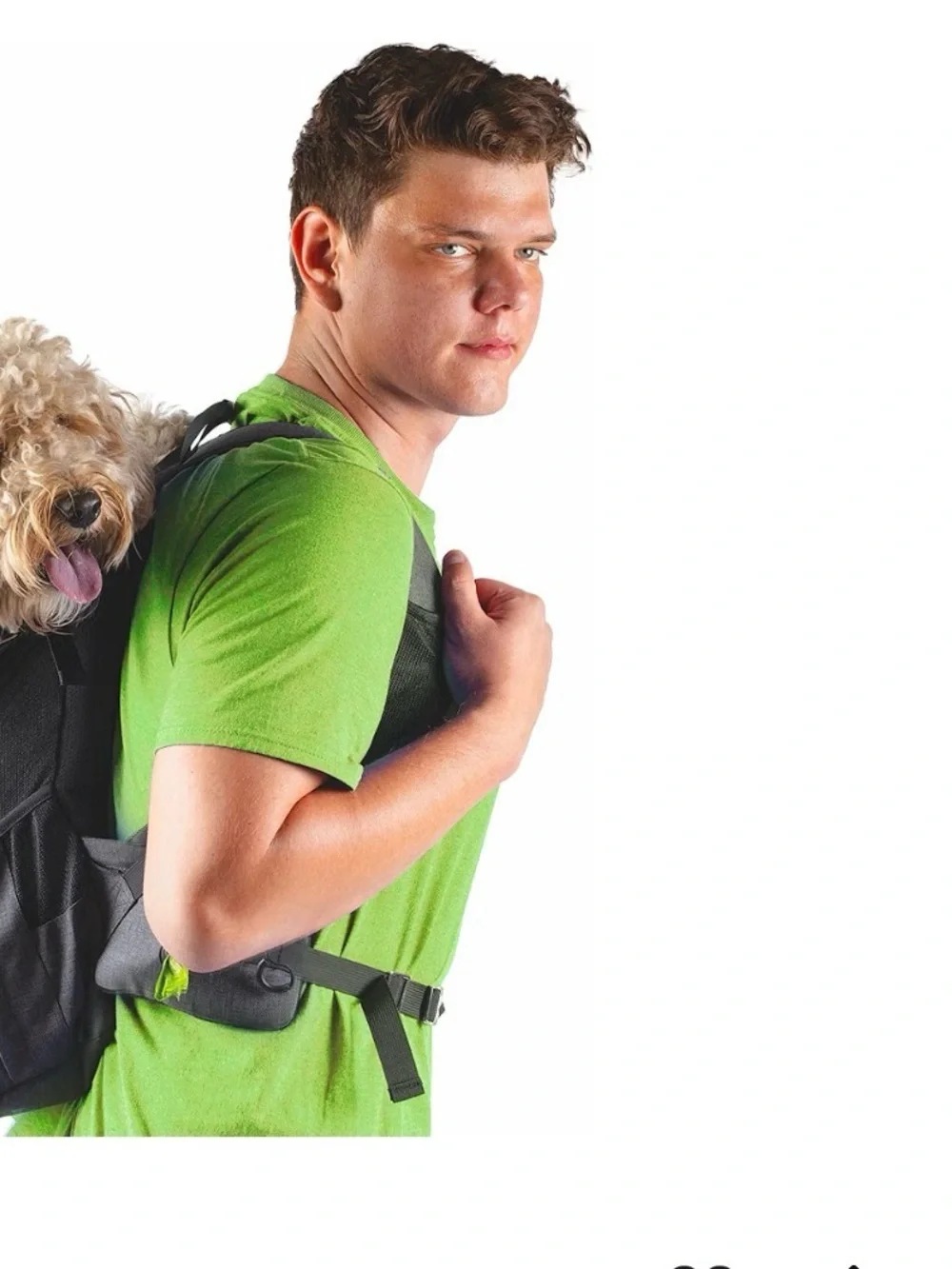 NIB Dog Backpack Fur CadetDog Gray Black Medium reflective Carrier‎ M medium